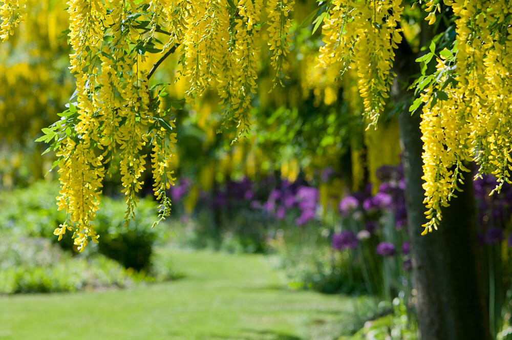I giardini più belli d'Italia