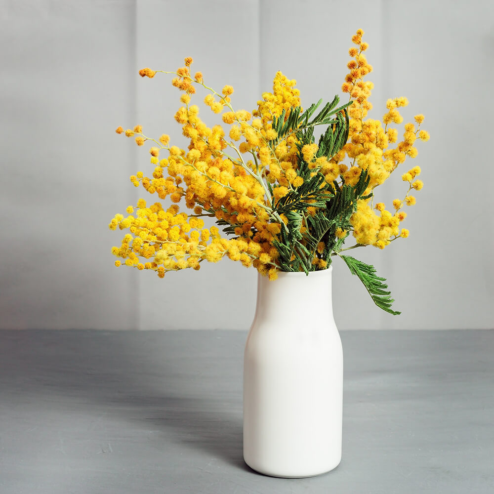 fiori per la festa della donna