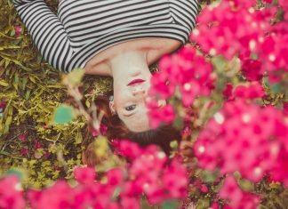 fiori e piante primaverili