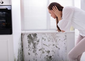 combattere la muffa in casa