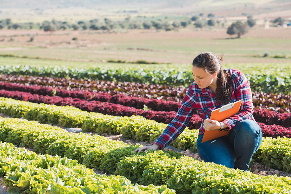 differenza tra agricoltura sostenibile e biologica