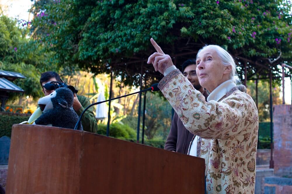 L’antropologa Jane Goodall